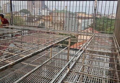 Báo giá làm chuồng cọp lồng sắt, inox tại Hai Bà Trưng 2026 theo m2 hoàn thiện trọn gói