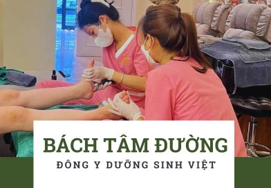 Báo giá Gội đầu và Mát Xa body Trị liệu dưỡng sinh chuyên sâu tại Hà Nội 2026 của Bách Tâm Đường