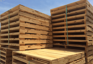 Chi phí tấm pallet giá bao nhiêu tiền tiền 1 chiếc 2026 tại Hà Nội và Tphcm Sài Gòn