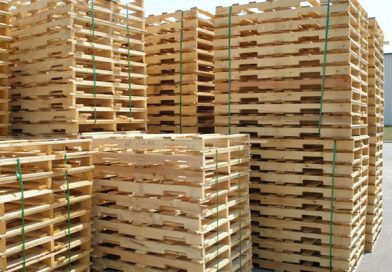 Báo giá tấm pallet gỗ tại Hải Dương, Hải Phòng 2026 và Vận chuyển giao hàng tận nơi trọn gói từ A – Z
